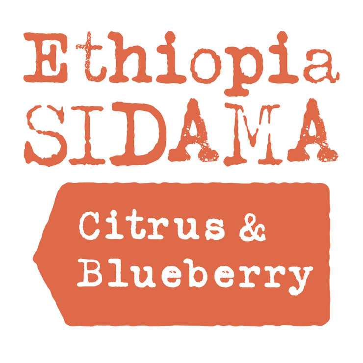 Ethiopia Sidama, Citrus & Blueberry